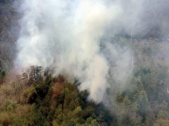 Cals Creek Fire. U.S. Forest Service photo