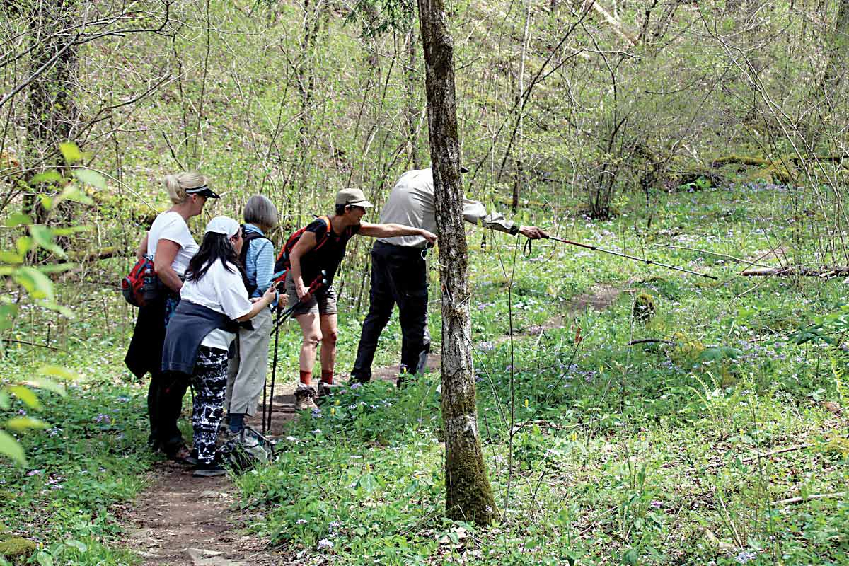 A photographer bends down to frame a wildflower. NPS photo