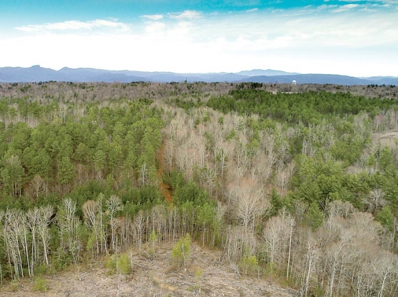 When completed, the 651-acre Oak Hill Community Park and Forest will offer opportunity for various types of outdoor recreation. Donated photo 