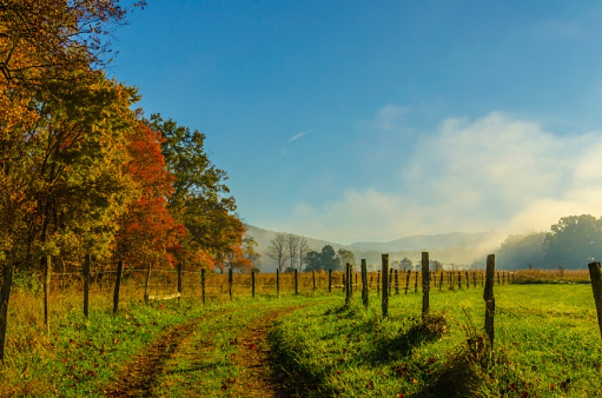 Perfect Picnic Spots in the Great Smokies