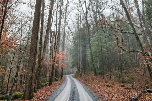 The entrance to Big Creek. (Garret K. Woodward photo)