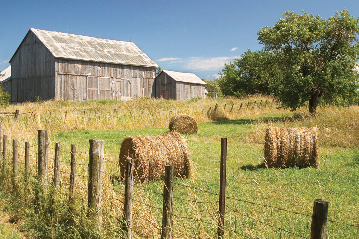Advocates are calling for increased funding to protect working farms and forests. 
