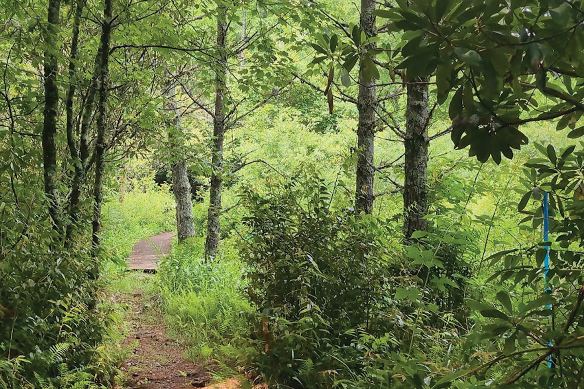 48 acres preserved by land trust