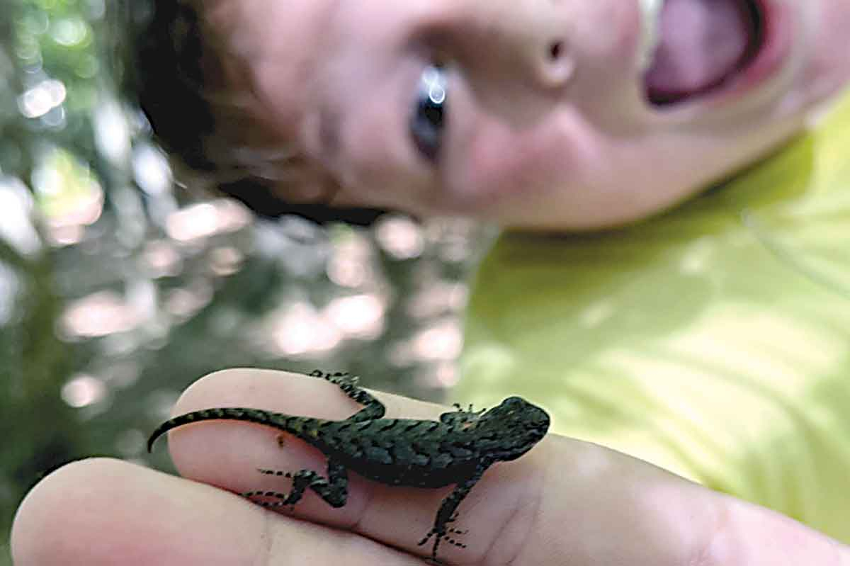 Adventure at the arboretum