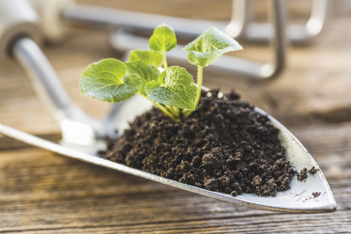 Submit soil samples to avoid peak-season fees