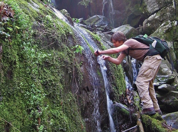 A scientist collects algae for documentation. NPS photo