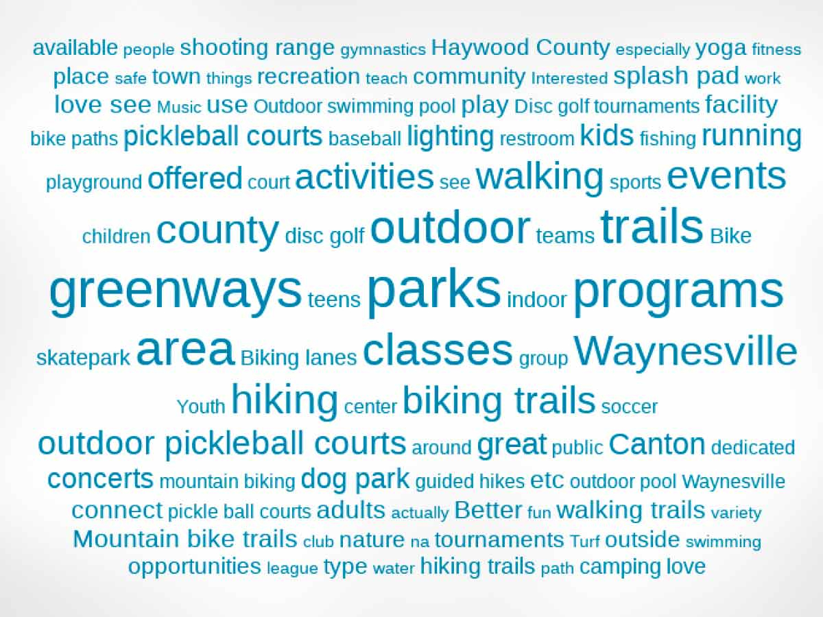 This word cloud derived from a survey represents citizen sentiment on what Haywood County needs more of, and what it doesn’t need. Haywood County photo