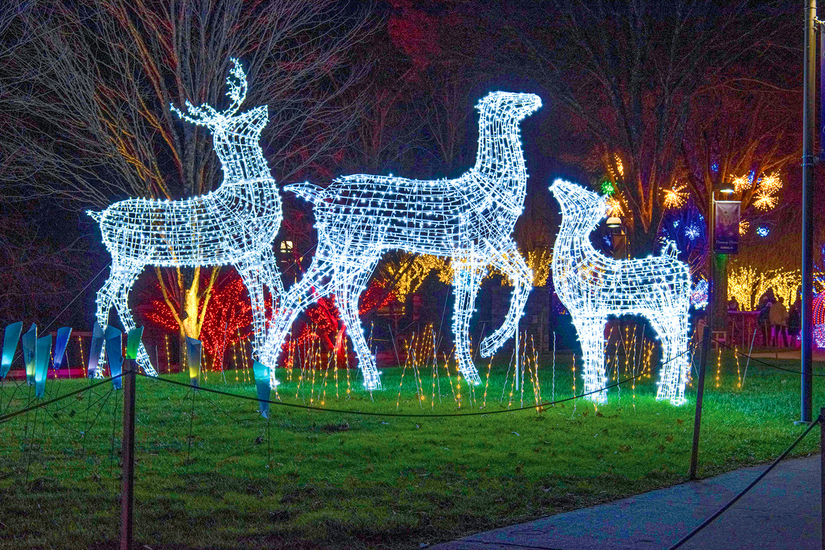 Each year, installation of the Winter Lights show typically begins in late summer, but two months of that work was lost due to Hurricane Helene. Donated photo