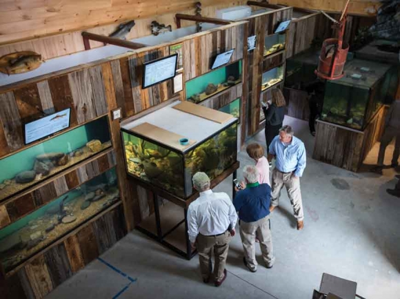 Bryson City builds on fishing tourism with new aquarium