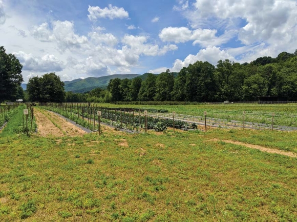 10-Acre Garden.