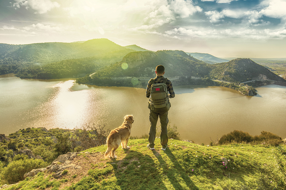 Do doggy first aid in the backcountry