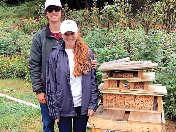 Business dedicated to saving bees