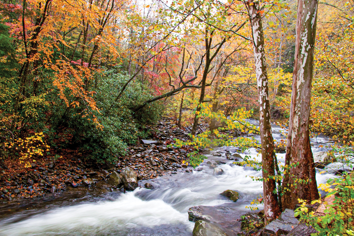 Fall comes to the Smokies