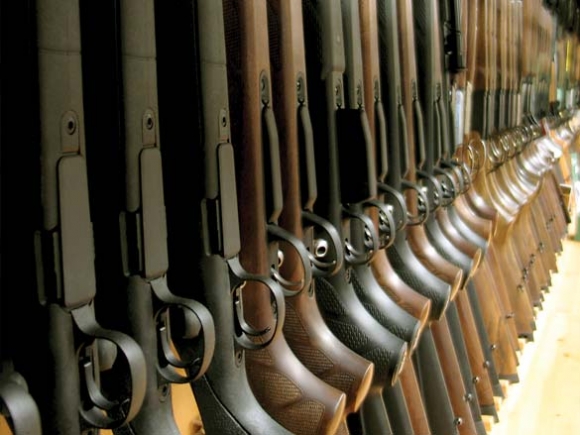 Group plans Second Amendment protest