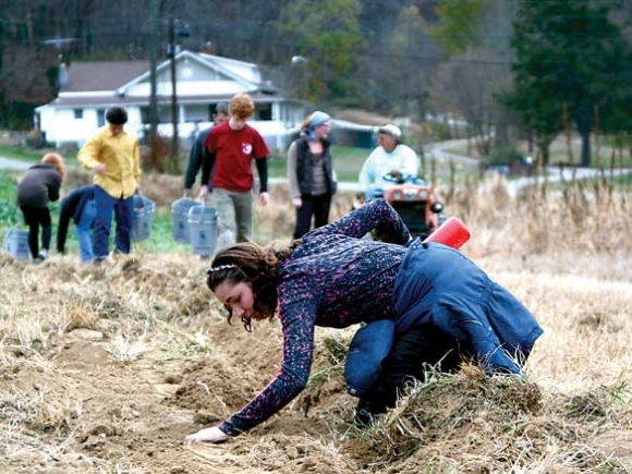 Haywood Gleaners logs 30,000 pounds of produce donations