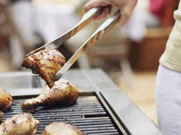 Sponsored: Thinking About Backyard Chickens? You should know about Salmonella