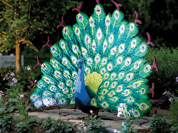 A LEGO peacock stands illuminated during an ArborEvenings event. Camilla Calnan Photo