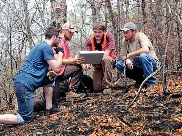 Wildfires as classrooms: WCU students study fire’s effects on Dicks Creek drainage