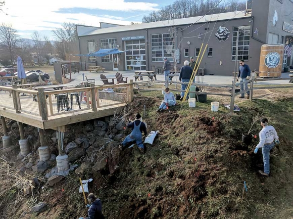 Volunteers help plant native trees and shrubs along the Pigeon River at BearWaters Brewing in Canton. Donated photo