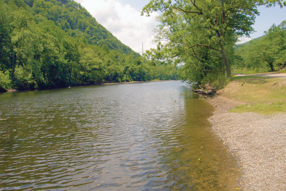 Clean up the Pigeon River