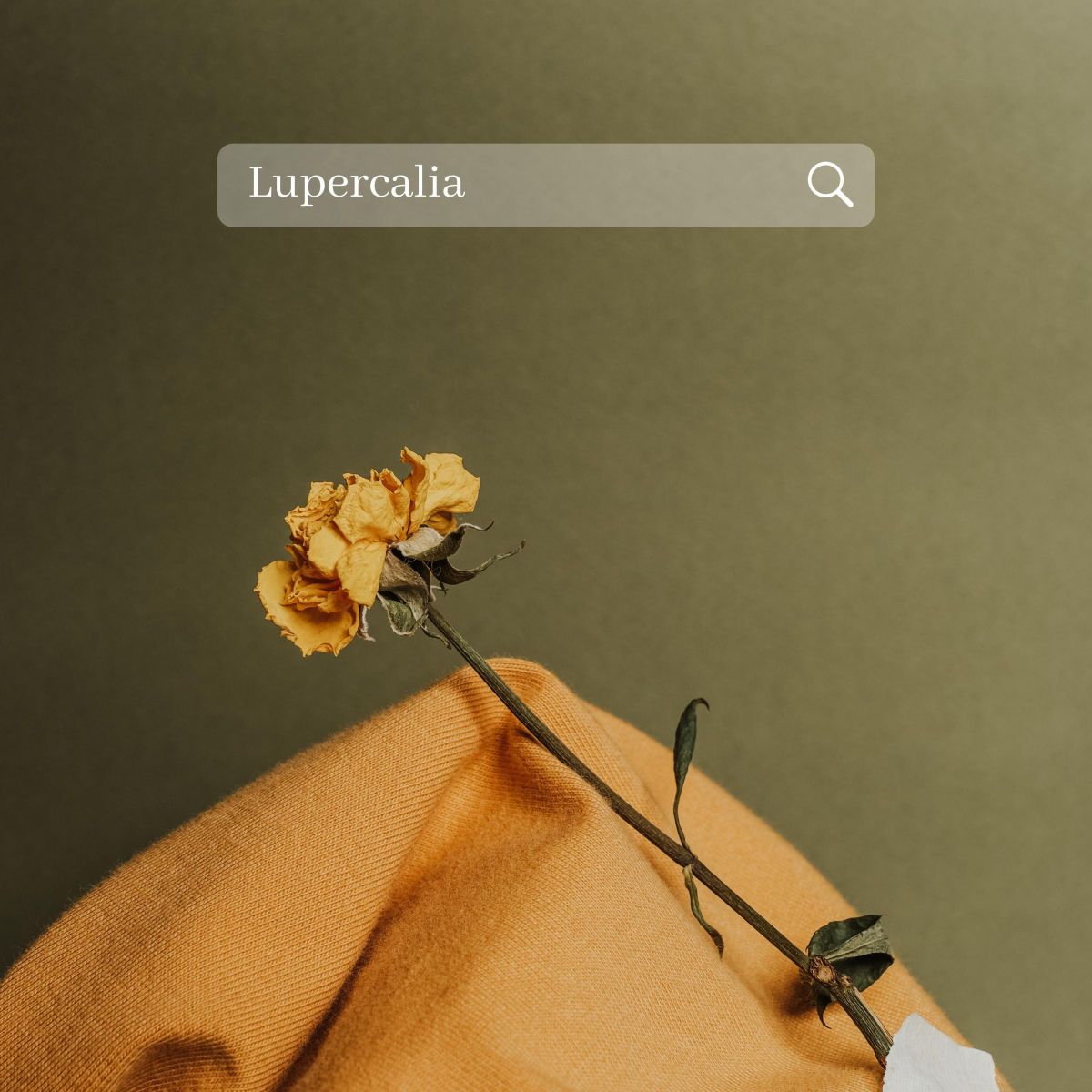 The Bloody History of Valentine's Day