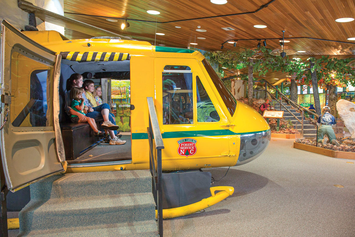 The cradle of forestry is a favorite destination for families. Donated photo