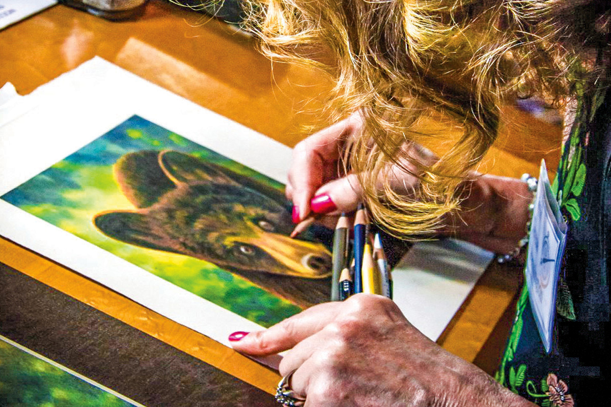 Quickdraw is a cherished event each year in WNC.
