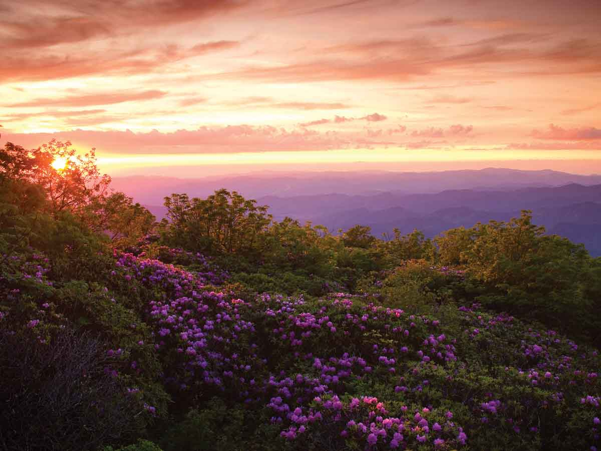 A stunning view stretches out in the Craggy Forest Scenic Area. Steven McBride photo