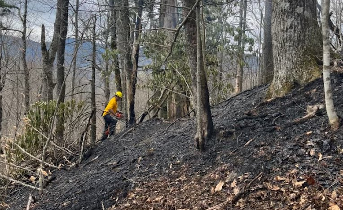 A firefighter works alongside Newfound Gap Road. NPS photo