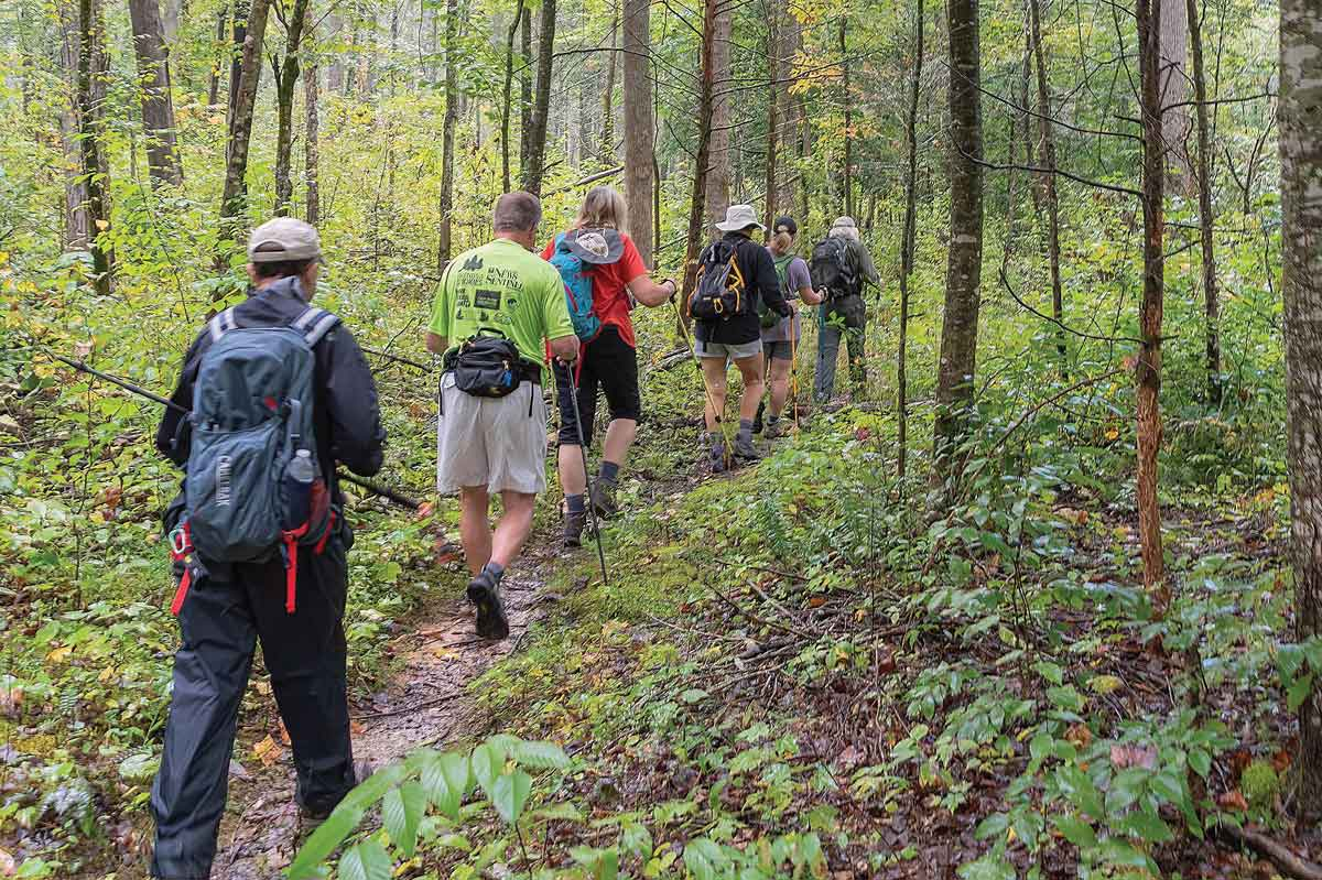 GSMNP is seeking local volunteers to track the changes of seasonal trees. Donated photo