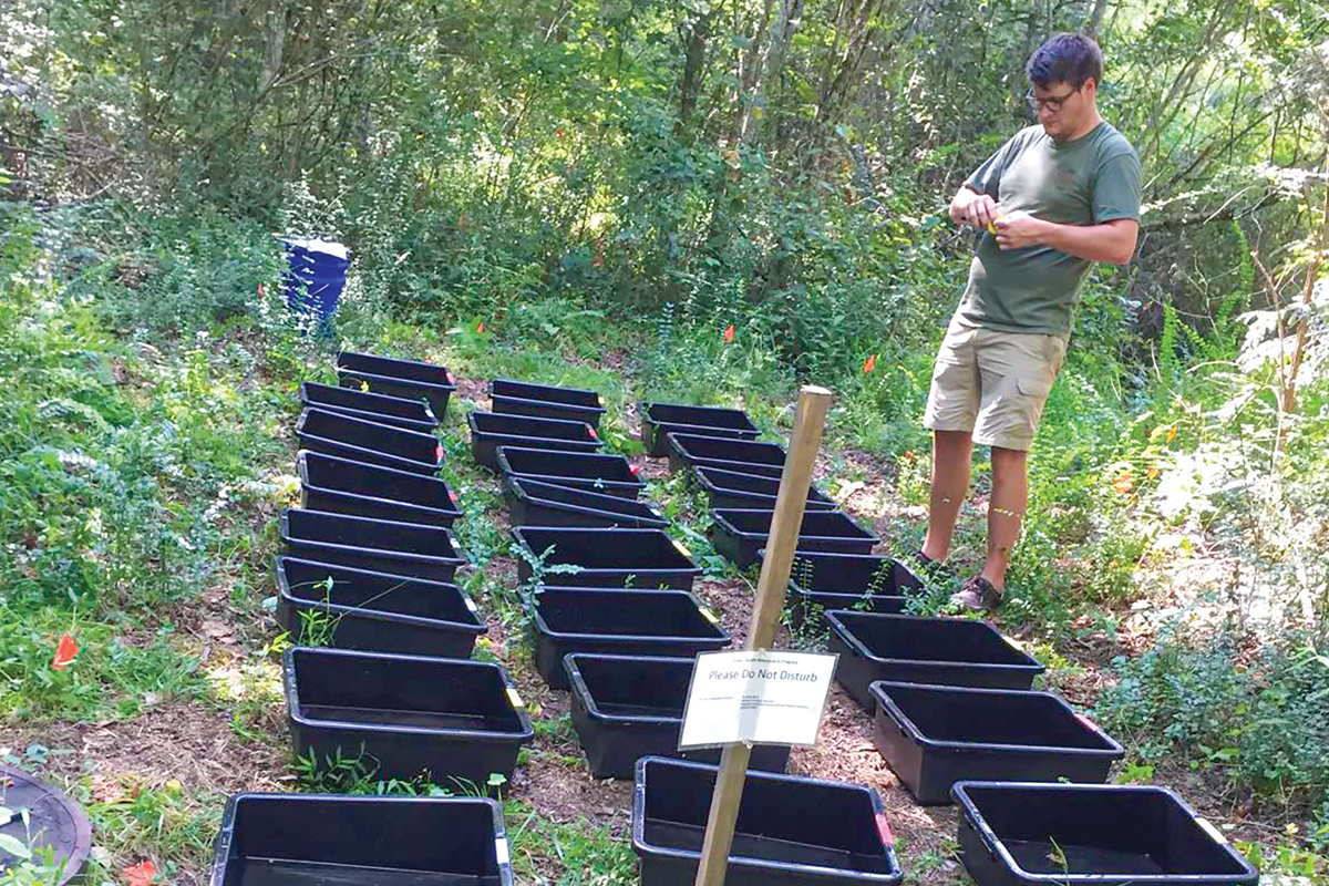 Joe Davis has two degrees from WCU — degrees he’s put to good use studying diseases spread by mosquitos. Donated photo 