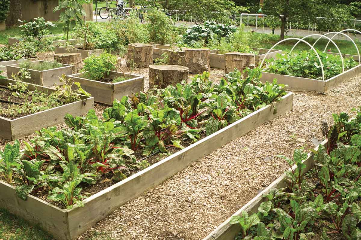 Haywood hosts annual plant sale