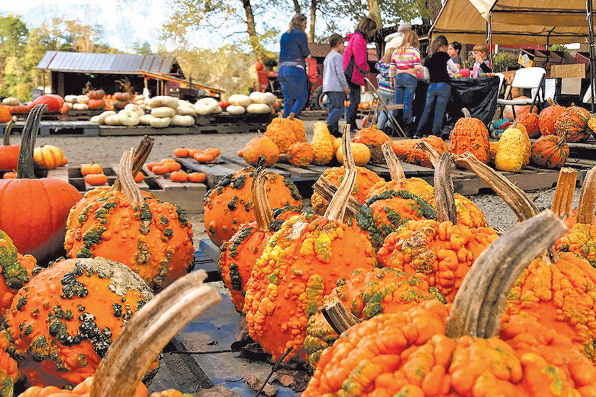 Darnell Farms is a popular destination in WNC. File photo 