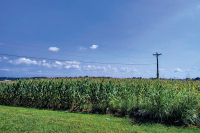 This must be the place: 'And I got lost where the river bends, maybe that's where I got found'