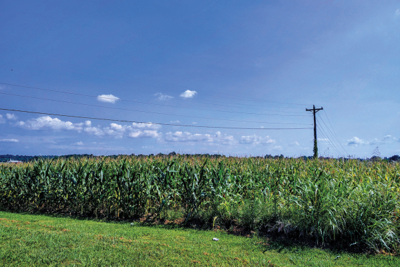 Somewhere in Kentucky.