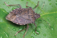 Up Moses Creek: Spring Has Sprung!