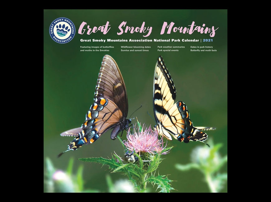 GSMA releases butterfly-centric 2021 calendar