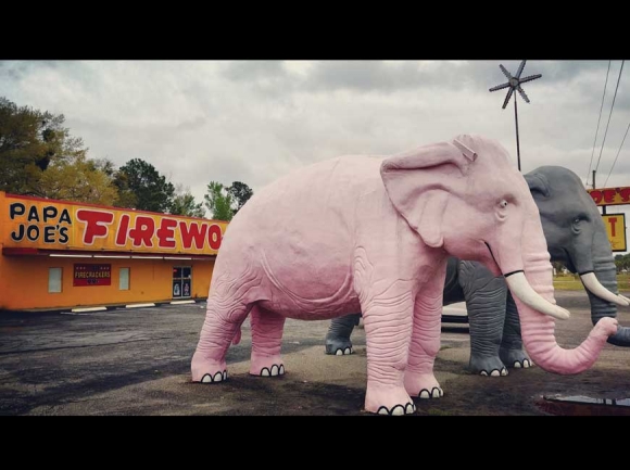 Roadside in South Carolina. Garret K. Woodward photo