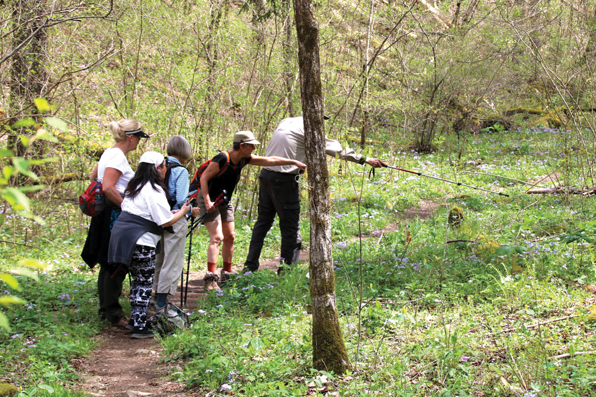 Visitors of Whiteoak Sink reminded of group size limits