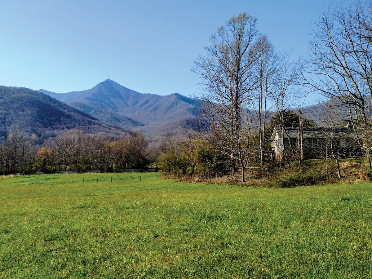 Mount Pisgah rises above the fields at Pisgah View Ranch. Donated photo