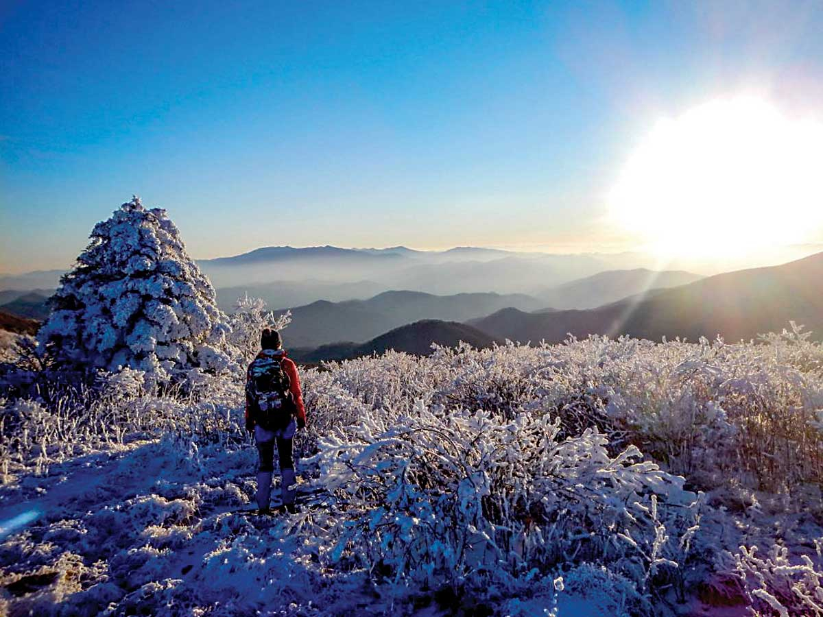 Sun shines through a snowy vista on Grassy Ridge. SAHC photo