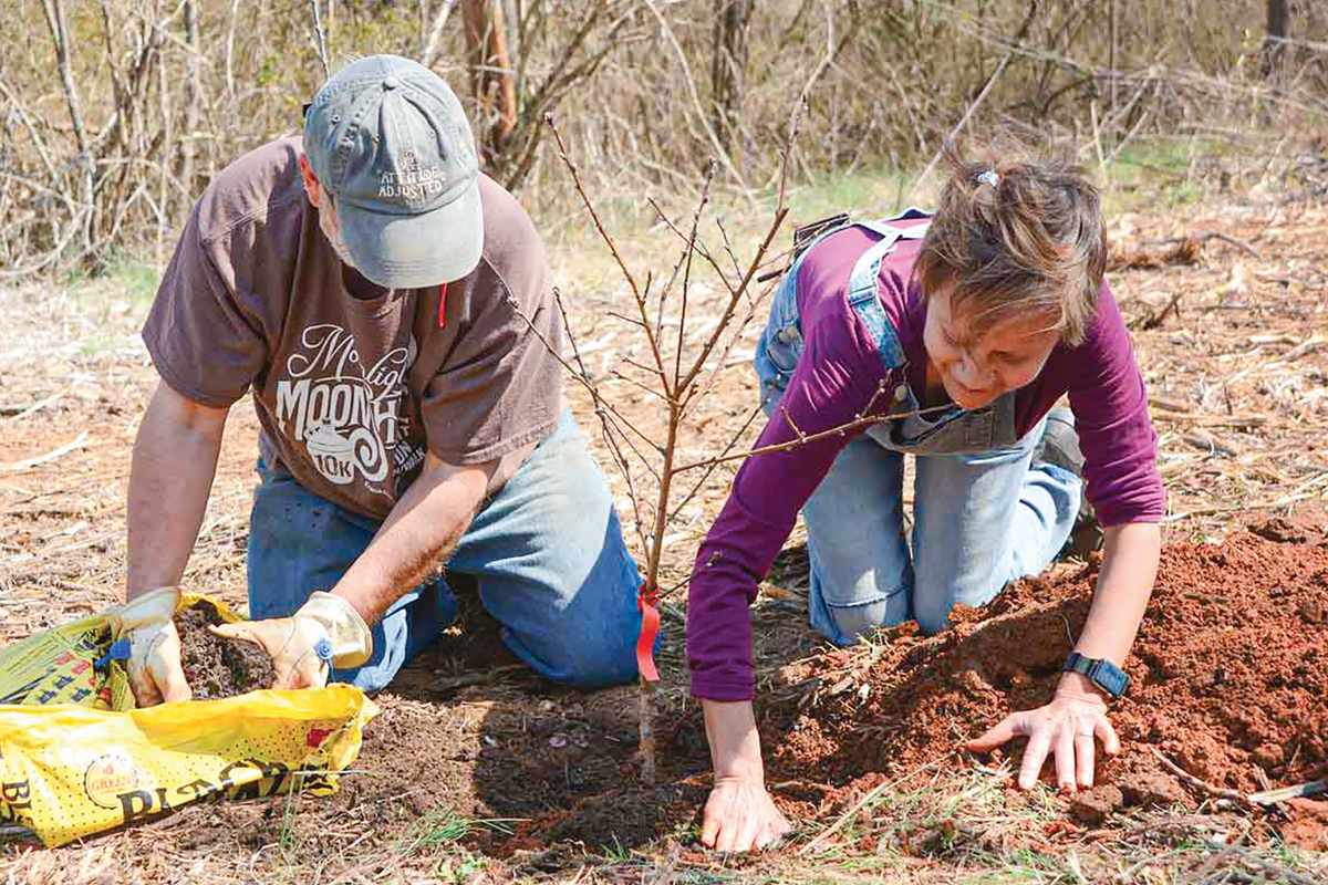 Juanita Wilson (right) and Bob McCollum, co-chairs of the Nikwasi Initiative, plant a tree along the new Barbara McRae Cherokee Heritage Apple Trail March 7. Holly Kays photo