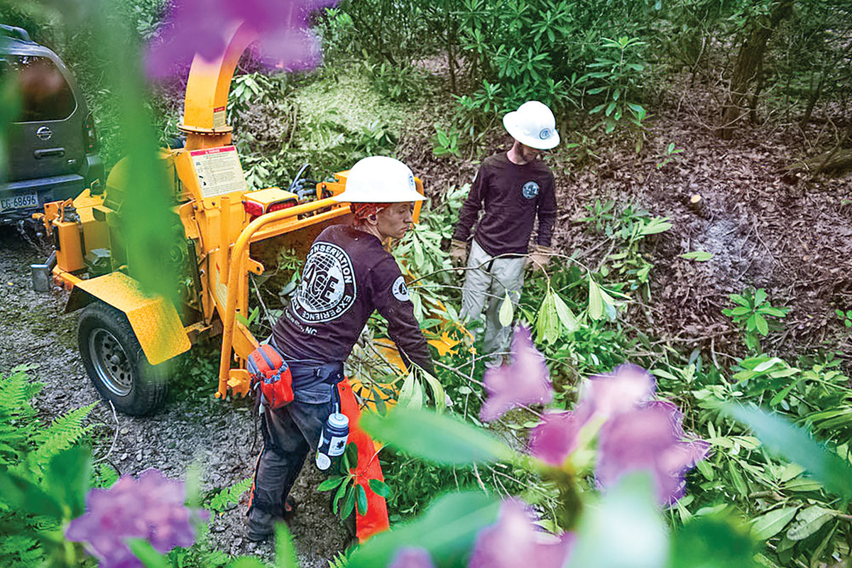 An American Conservation Experience crew clears overgrown vegetation from a trail at Moses H. Cone Memorial Park.