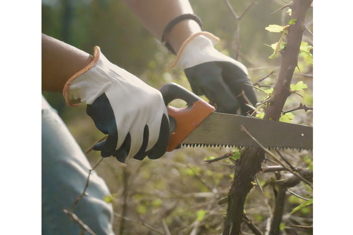 Workday planned at Jackson greenway