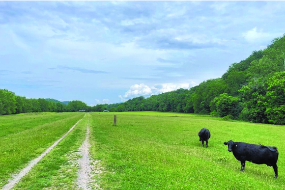 The Chessie Nature Trail in Buena Vista, Virginia. Garret K. Woodward photo