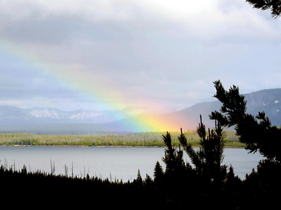 A rainbow falls across Yellowstone Lake  in Wyoming. Holly Kays photos