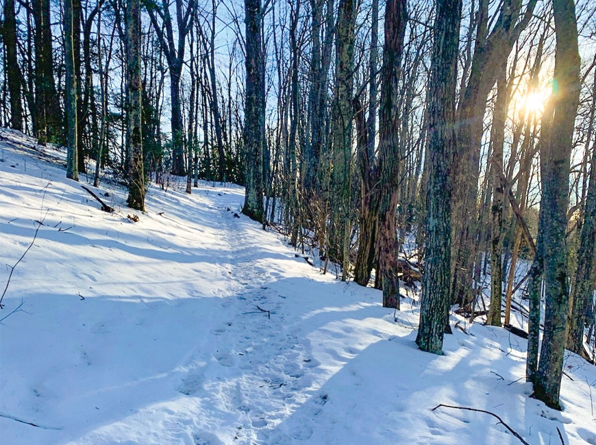 Cataloochee Divide Trail. 