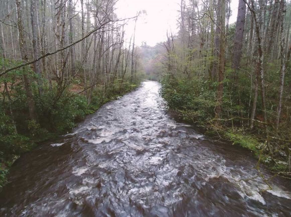 Cataloochee Creek. Garret K. Woodward