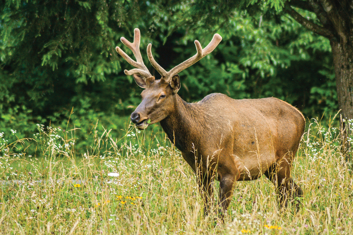 The park will now be at least partially open through the end of the year. 