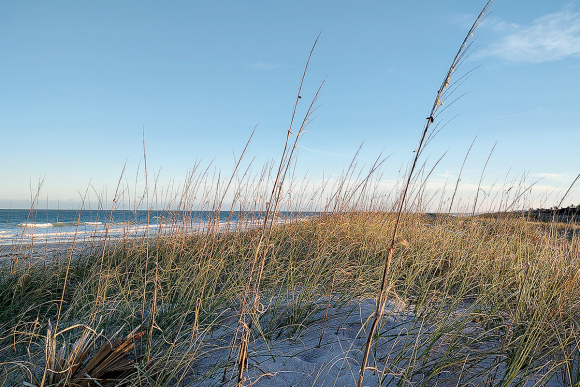 Vero Beach, Florida. Garret K. Woodward photo